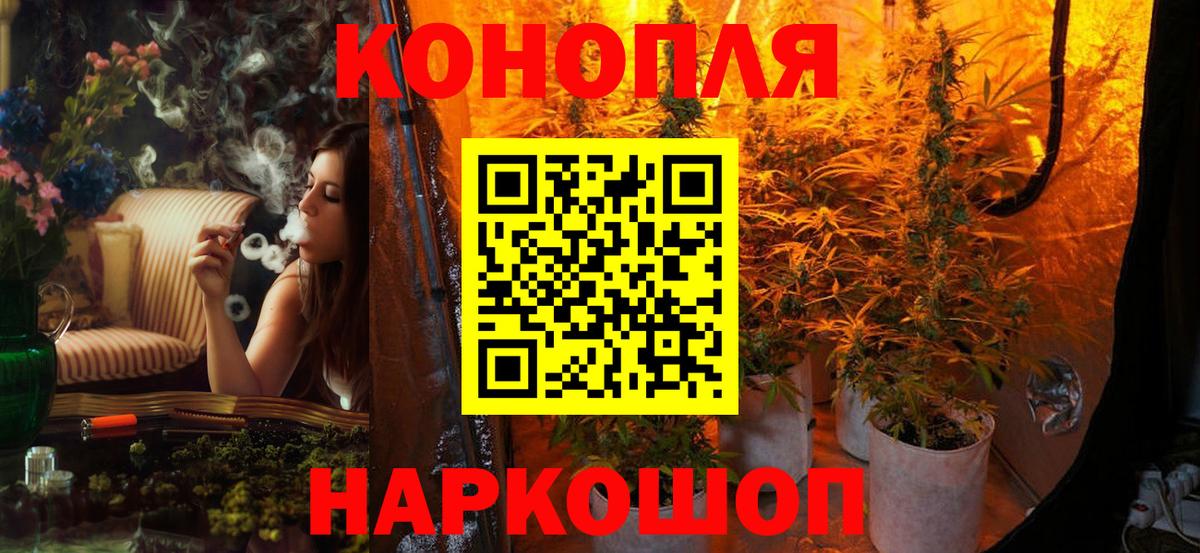 Каннабис OG Kush  Конопля конопля  Котлас  Бошки Шишки SATIVA & INDICA  Вход с VPN 